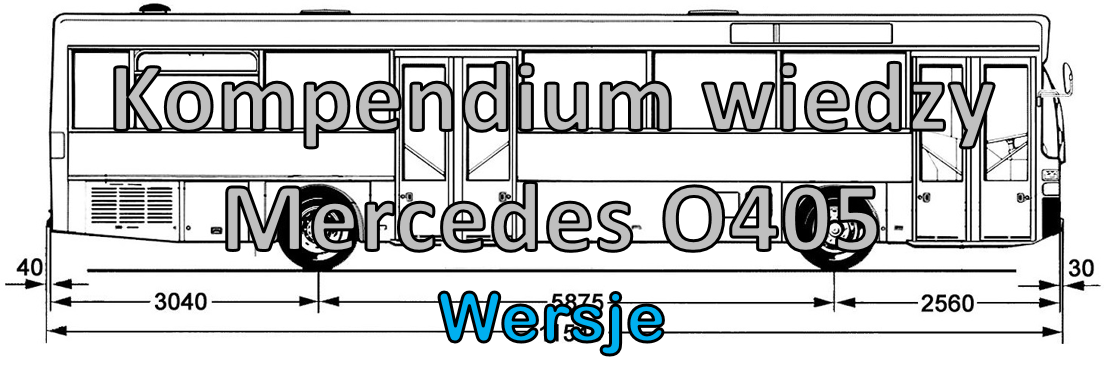 logo_wersje
